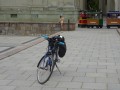 DSC01293