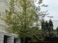 DSC01295