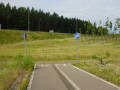 DSC03487
