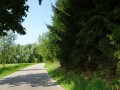 DSC03493