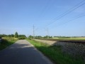 DSC03494