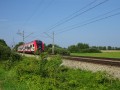 DSC03496