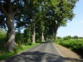 DSC03497