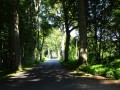 DSC03502