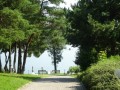 DSC03503