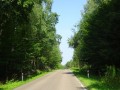 DSC03504