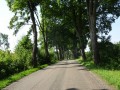 DSC03507