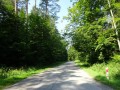 DSC03508