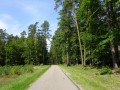 DSC03520