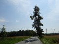 DSC03524