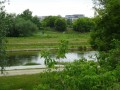 DSC00998