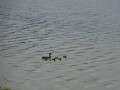 DSC01004