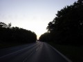 DSC01013