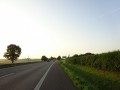 DSC01022
