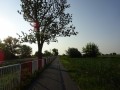 DSC01025