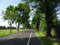 DSC01034