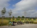DSC01638
