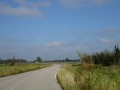 DSC01645