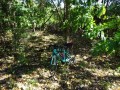 DSC01650