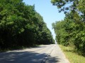 DSC01651