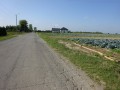 DSC01653
