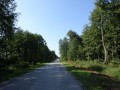 DSC01654