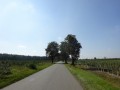 DSC01655