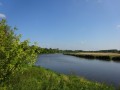 DSC01659
