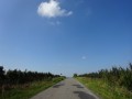 DSC01660