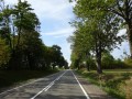 DSC01665