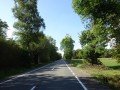 DSC01666