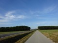DSC01667