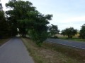 DSC01668