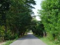 DSC01591