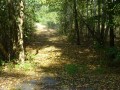 DSC01594