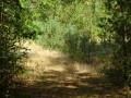 DSC01595