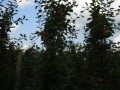 DSC01615