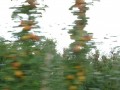DSC01616