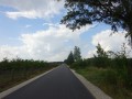DSC01617