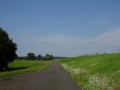 DSC01411