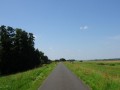 DSC01412