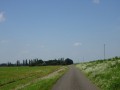 DSC01413