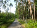 DSC01442