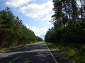 DSC01458