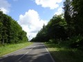 DSC01460