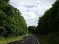 DSC01466