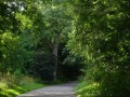 DSC01472