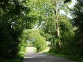 DSC01473