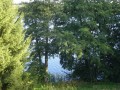 DSC01478