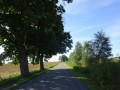 DSC01481